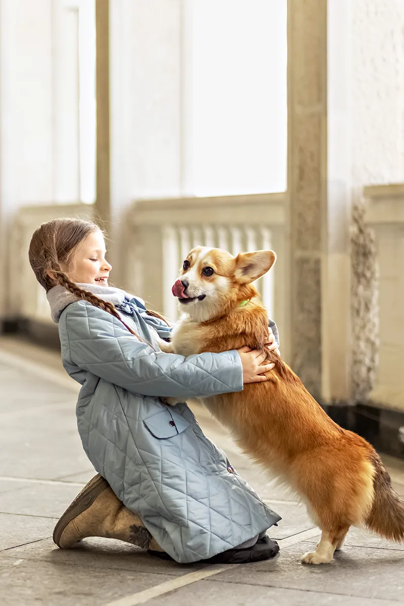 a-little-girl-toddler-cuddles-with-a-corgi-dog-on-2023-11-27-05-13-26-utc A little girl toddler cuddles with a corgi dog on the embankment. Happiness.