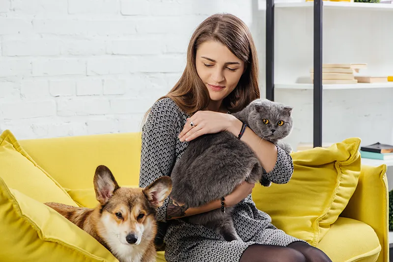 beautiful-woman-sitting-on-sofa-with-pembroke-wels-2023-11-27-05-26-05-utc